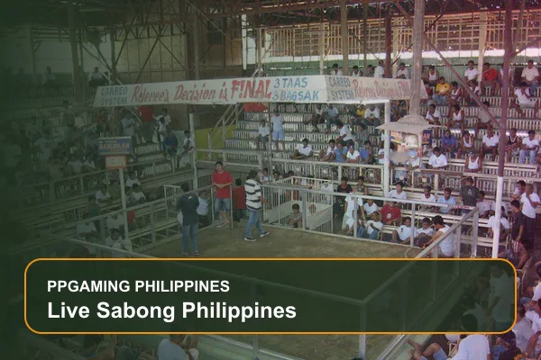 live sabong philippines guide for Filipino players on Ppgaming